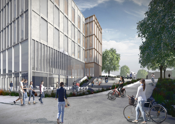 University of Warwick_IBRB
