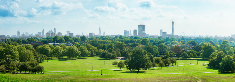 London skyline and Primrose hill park panorama